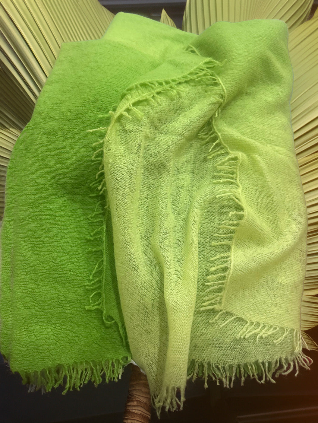 Cashmere scarf with fringes palm green